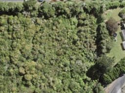 19 Yozin Road, Swanson, Auckland