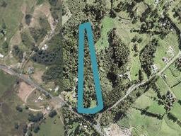 9 Selman Road, Dairy Flat, Albany