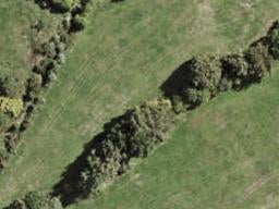 14 Putahi Crescent, OPAHEKE, PAPAKURA