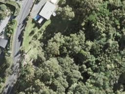 101 Wright Road, Albany