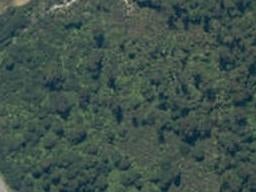 0 Arawata, Jackson Bay, Haast