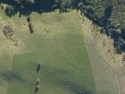 22 Groom Rise, Waipu, Waipu