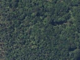 354 Arnold Valley Road, ARNOLD VALLEY