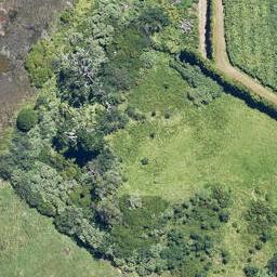 3018 Matapihi Road, MATAPIHI, MOUNT MAUNGANUI