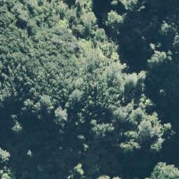 0 State Highway 35, Te Kaha, Te Kaha