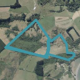 31 Blanket Bay Road, Sawyers Bay, Dunedin