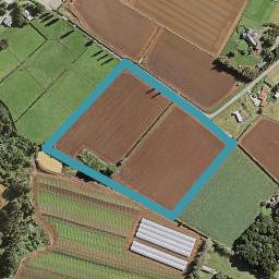 711 Harrisville Road, Pukekohe East