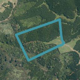 135B Tram Gully Road, Manukau Heads, Āwhitu