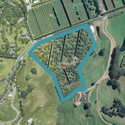 239 Hot Springs Road, Tahawai, Katikati