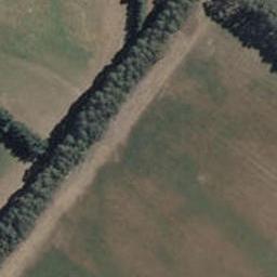 7 Dogwood Place, Prebbleton, Prebbleton