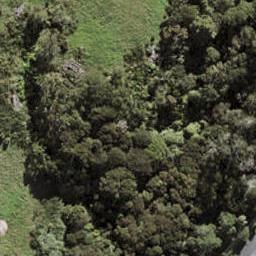 10 Seasons Way, Schnapper Rock, Auckland