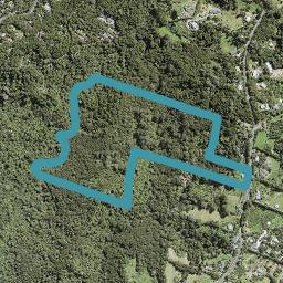 87 Parker Road, Oratia, Auckland