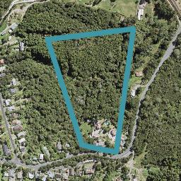 1231 Scenic Drive, SWANSON, AUCKLAND