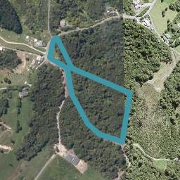 97 Tender Road, DAIRY FLAT, DAIRY FLAT