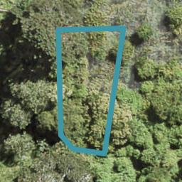 1 Te Uru Huarakau Lane, SWANSON