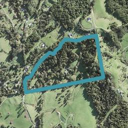 162 Goatley Road, Warkworth, Warkworth