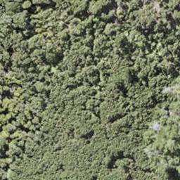 0 Bon Accord Harbour, Kawau Island, Kawau Island