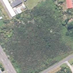 0 Stewart Street, Waimangaroa, Westport