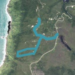 6831A State Highway 6, Charleston, Cape Foulwind