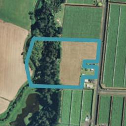 160 Te Matai Road, Te Puke, Te Puke