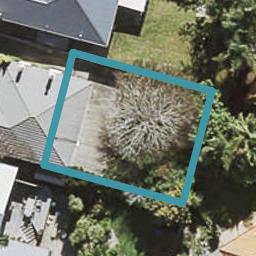 4B Kingsford Road, Mount Eden, Auckland