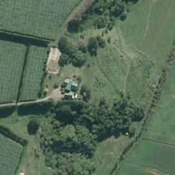 211 Brown Road, Te Puke, Te Puke