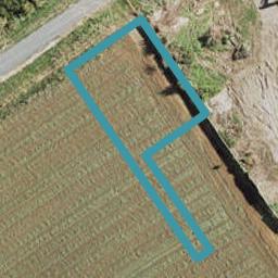 98 Belmont Road, Pukekohe, Pukekohe