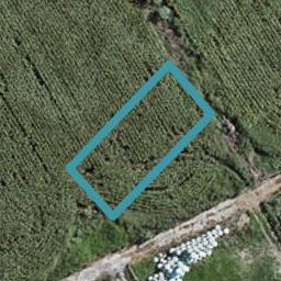 77 Mutetai Road, Clarks Beach, Clarks Beach