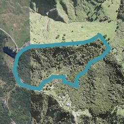 103 Green Hollows Road, Silverdale
