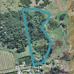 55 Hill Road, Ormond