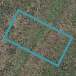 12 Overton Street, Rototuna North, Hamilton