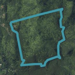 871C Tiki Quarry Road, Preece Point, Coromandel