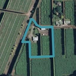 21 Winroy Grove, Tahawai, Katikati