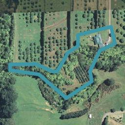 32D Killen Road, Tahawai, Katikati
