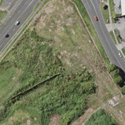 6 Morehu Wilson Road, St Johns, Auckland