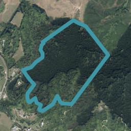 141A Wallace Loop Road, Koputaroa, Shannon