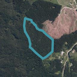 670A Bickerstaffe Road, Maungaturoto
