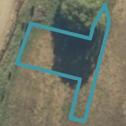 3 Pahautea Lane, Kihikihi, Te Awamutu