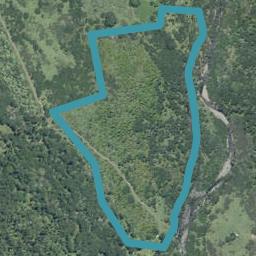 0 State Highway 12, Waima, Kaikohe