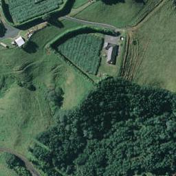 0 Punga Way, PAPAMOA