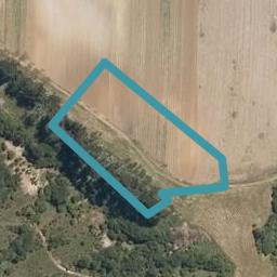 28 Young Garden Lane, Waimauku, Waimauku