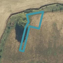 6 Pahautea Lane, Kihikihi, Te Awamutu