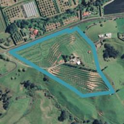 175 Hot Springs Road, Tahawai, Katikati