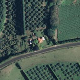 308 Athenree Road, Athenree, Katikati