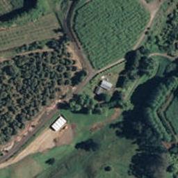 44 Martray Road, Tahawai, Katikati
