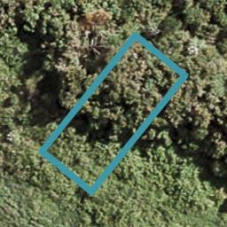 17 Karikari Crescent, Takanini, Auckland