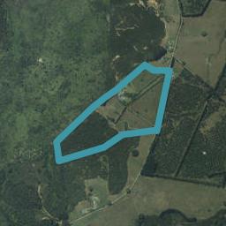 1047N Purangi Road, Cooks Beach, Whitianga