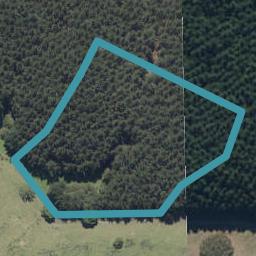 86 Thompsons Road, Okoia, Whanganui