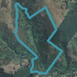 194 Montgomerys Road, Little River