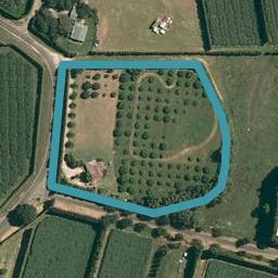 291 Benner Road, Pukehina, Te Puke